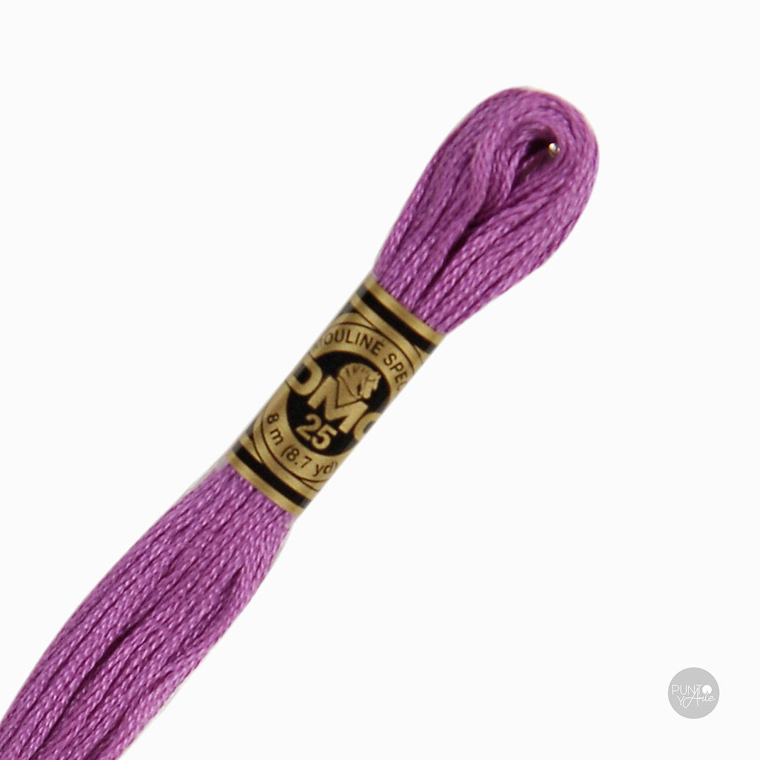 33 Hilo de bordado DMC Mouliné Spécial 117MC de 8 metros