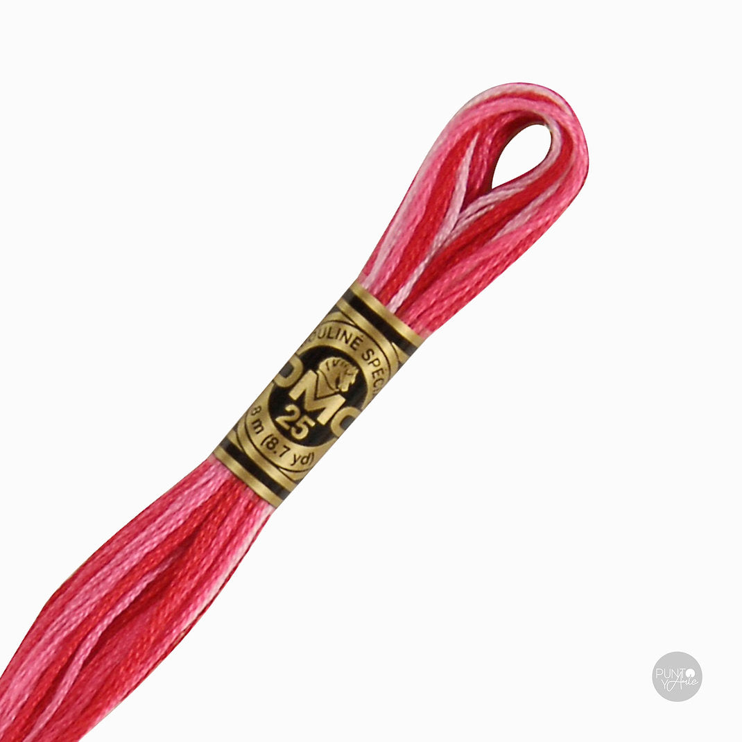 107 DMC Embroidery Thread Mouliné Spécial 117MC 8 meters