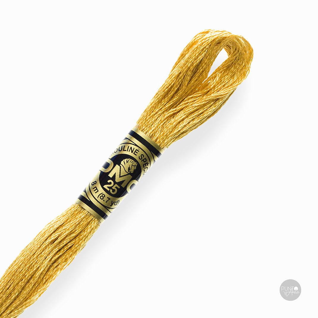 729 DMC Embroidery Thread Mouliné Spécial 117MC 8 meters