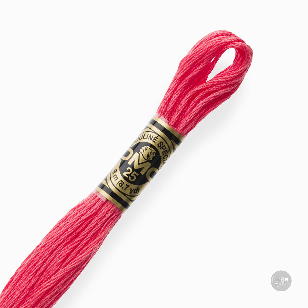 892 Hilo de bordado DMC Mouliné Spécial 117MC de 8 metros