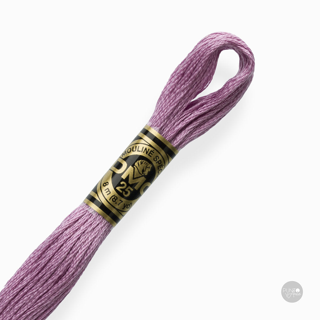 3836 Hilo de bordado DMC Mouliné Spécial 117MC de 8 metros