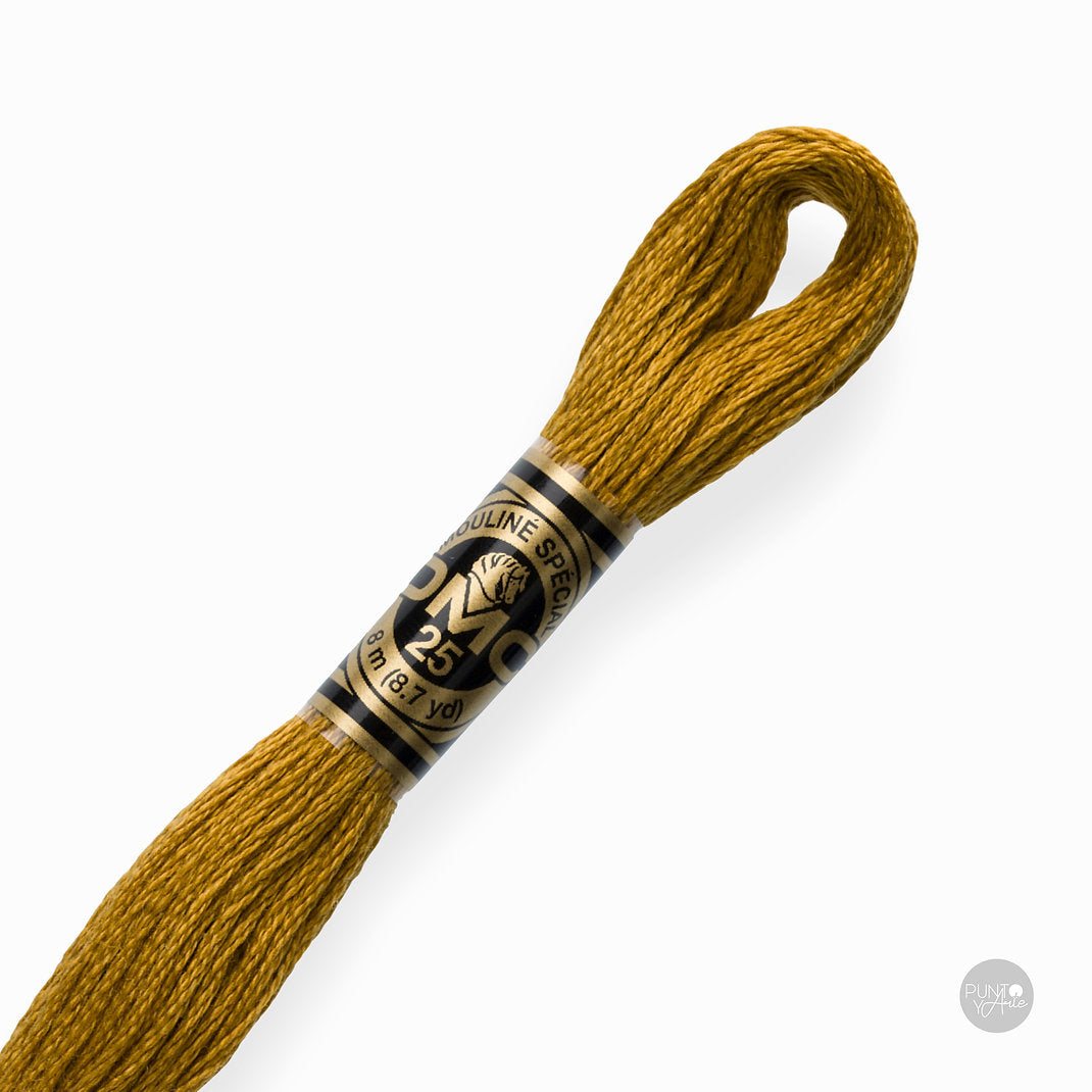 3829 DMC Embroidery Thread Mouliné Spécial 117MC 8 meters