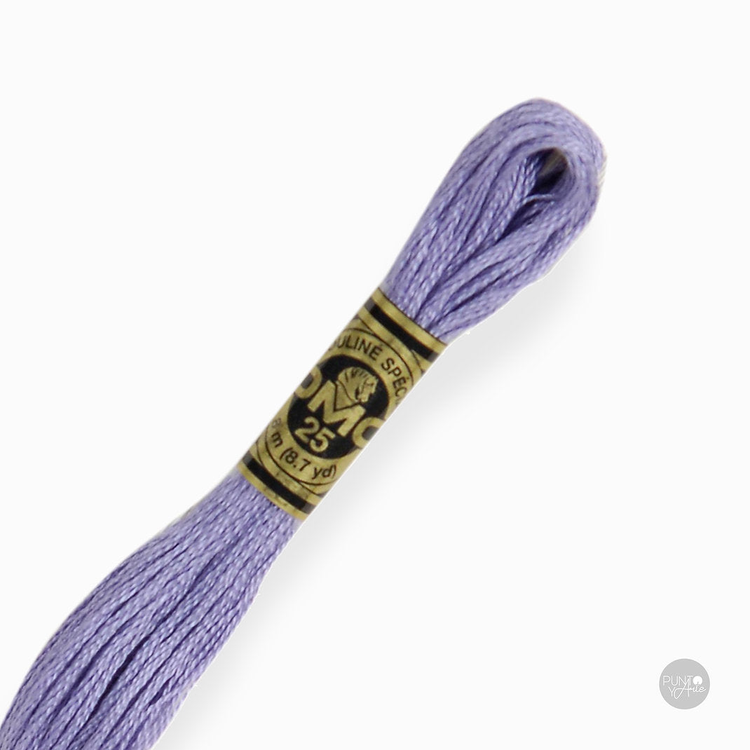 30 Hilo de bordado DMC Mouliné Spécial 117MC de 8 metros