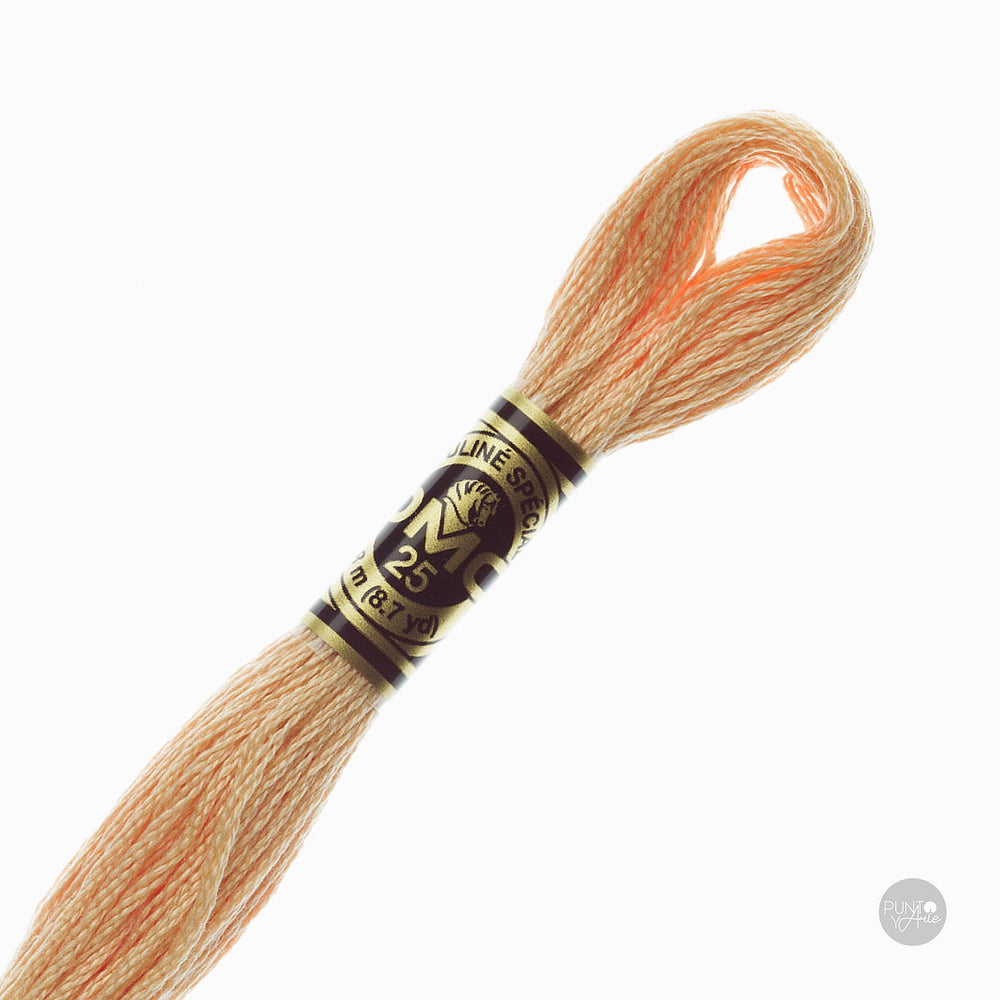 3856 DMC Embroidery Thread Mouliné Spécial 117MC 8 meters