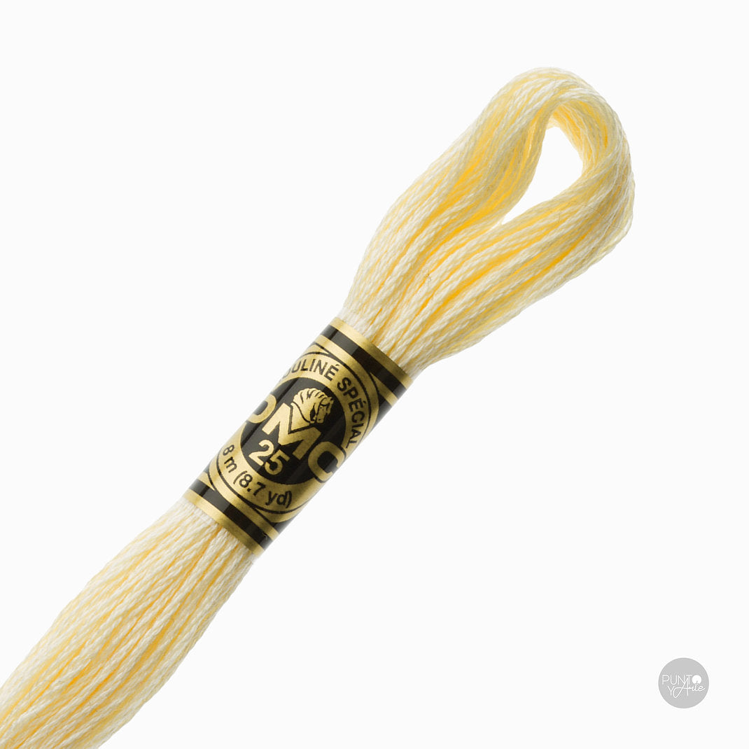 3823 DMC Embroidery Thread Mouliné Spécial 117MC 8 meters