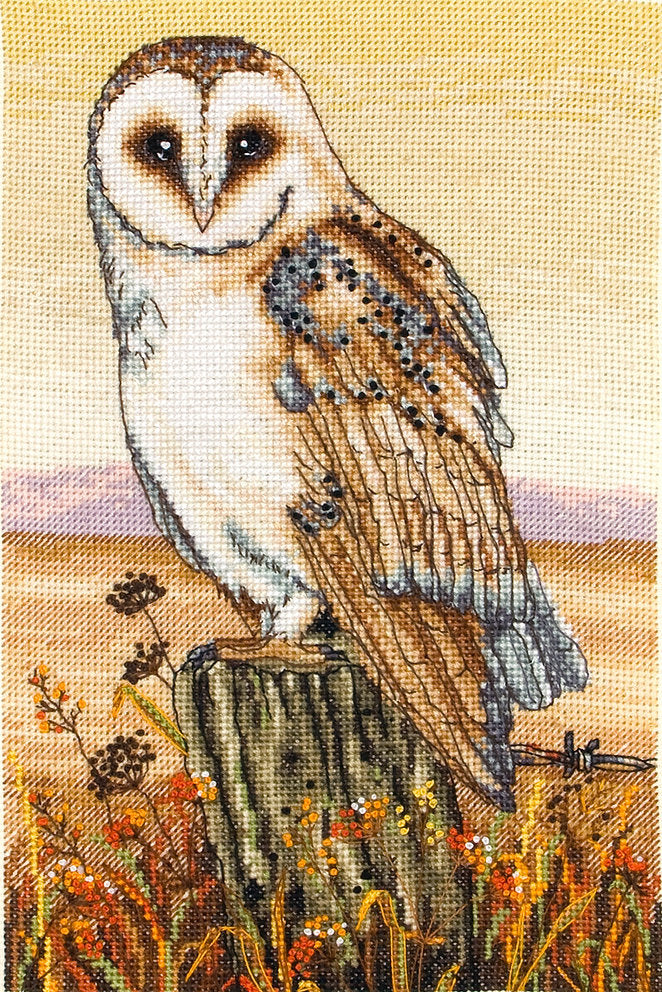 Cross stitch kit. PCE604 Owl Horizon - Anchor