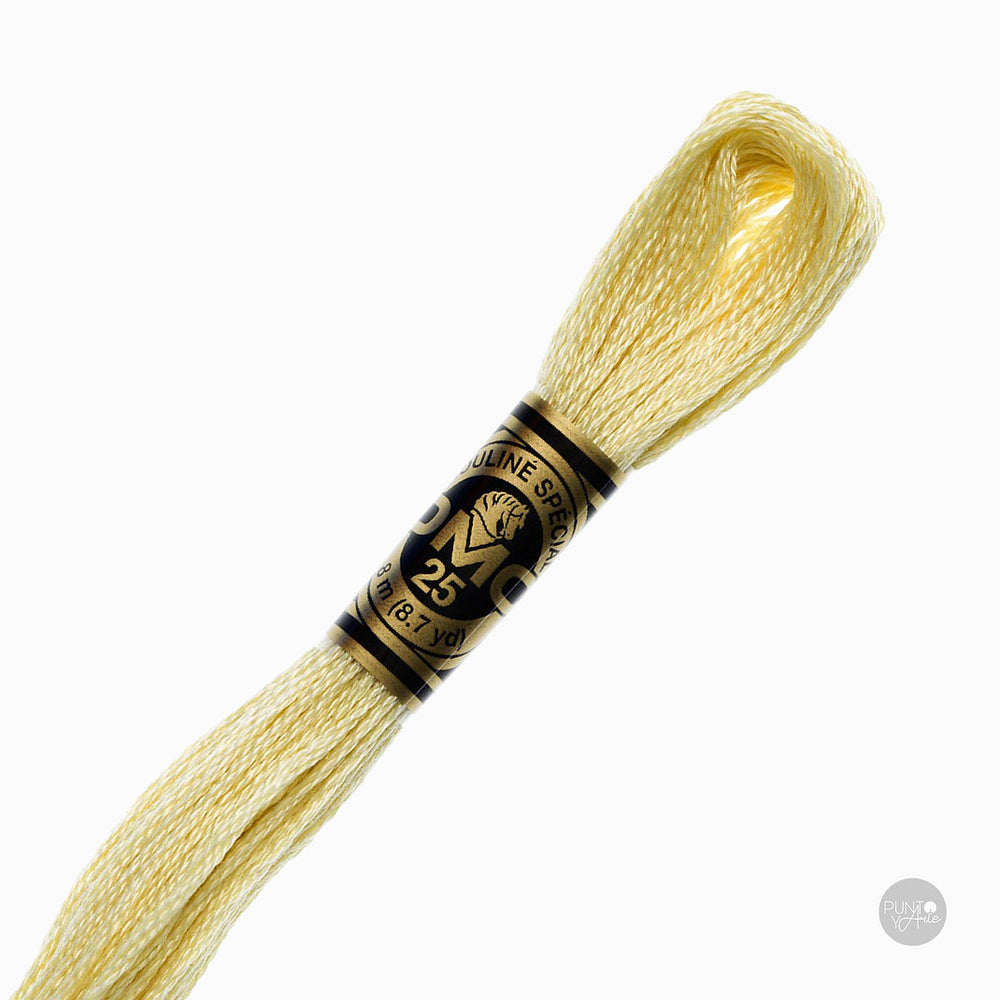 677 Fil à broder DMC Mouliné Spécial 117MC 8 mètres