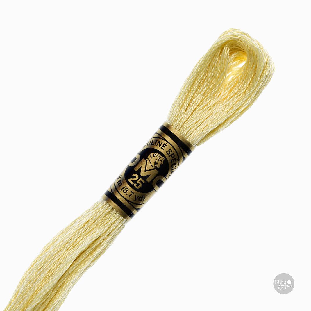 677 Fil à broder DMC Mouliné Spécial 117MC 8 mètres