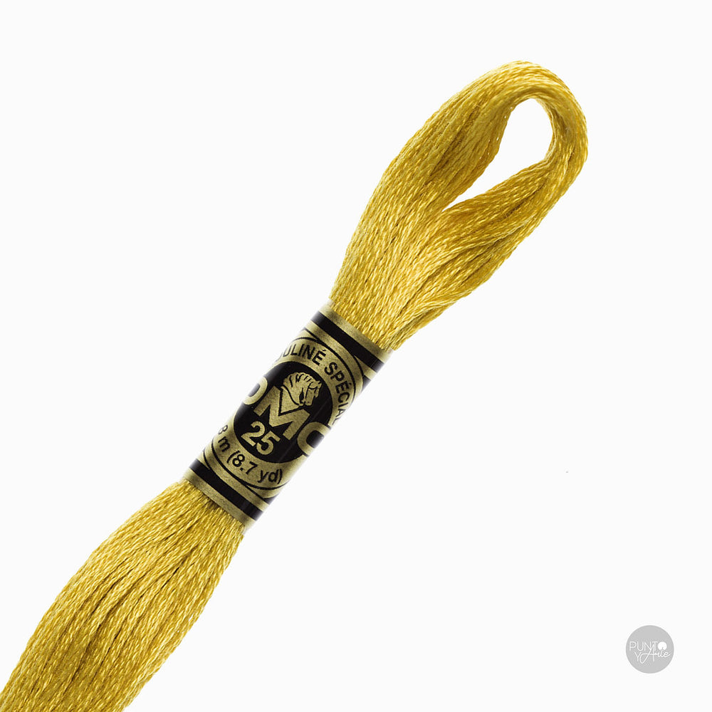 3820 DMC Embroidery Thread Mouliné Spécial 117MC 8 meters