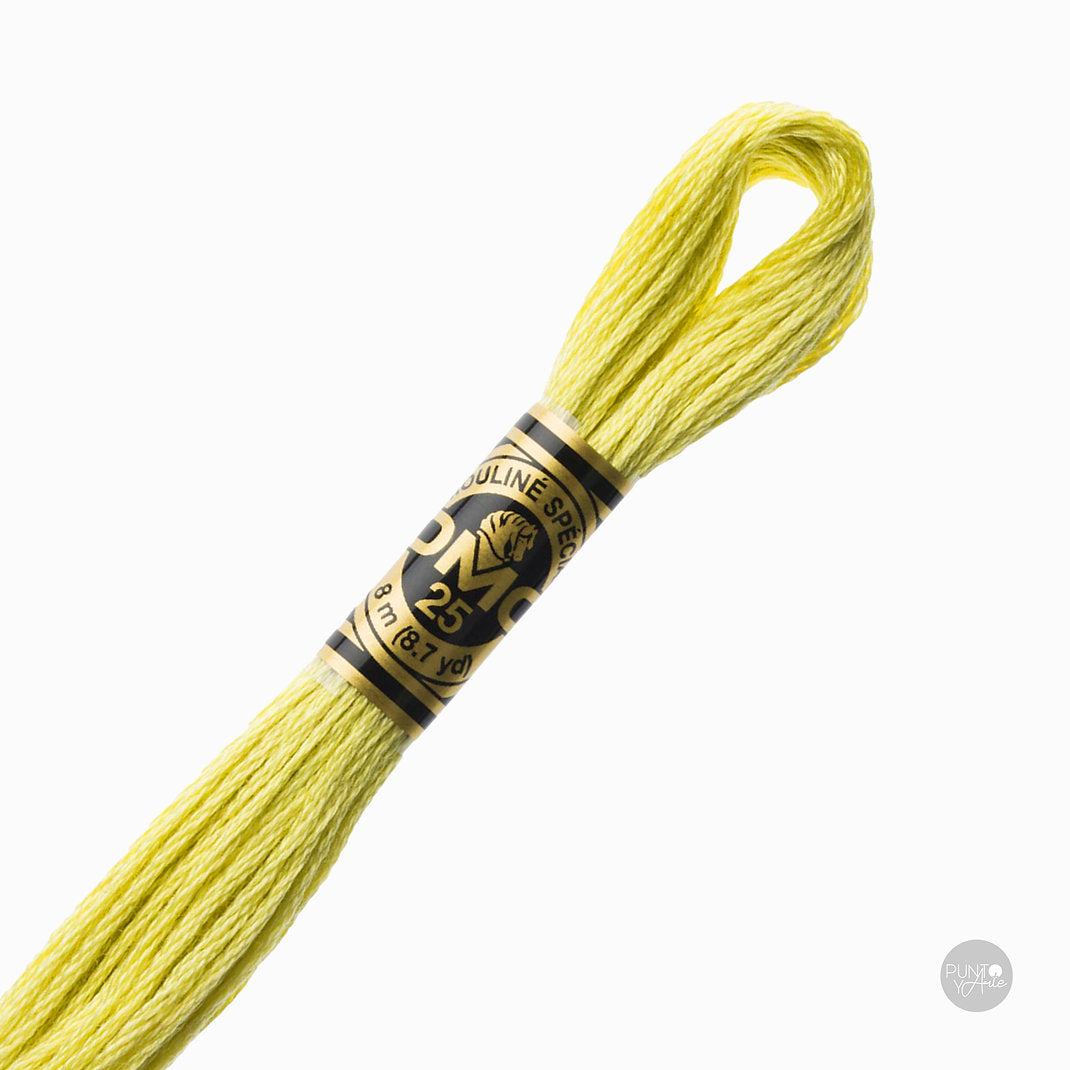 165 Fil à broder DMC Mouliné Spécial 117MC 8 mètres