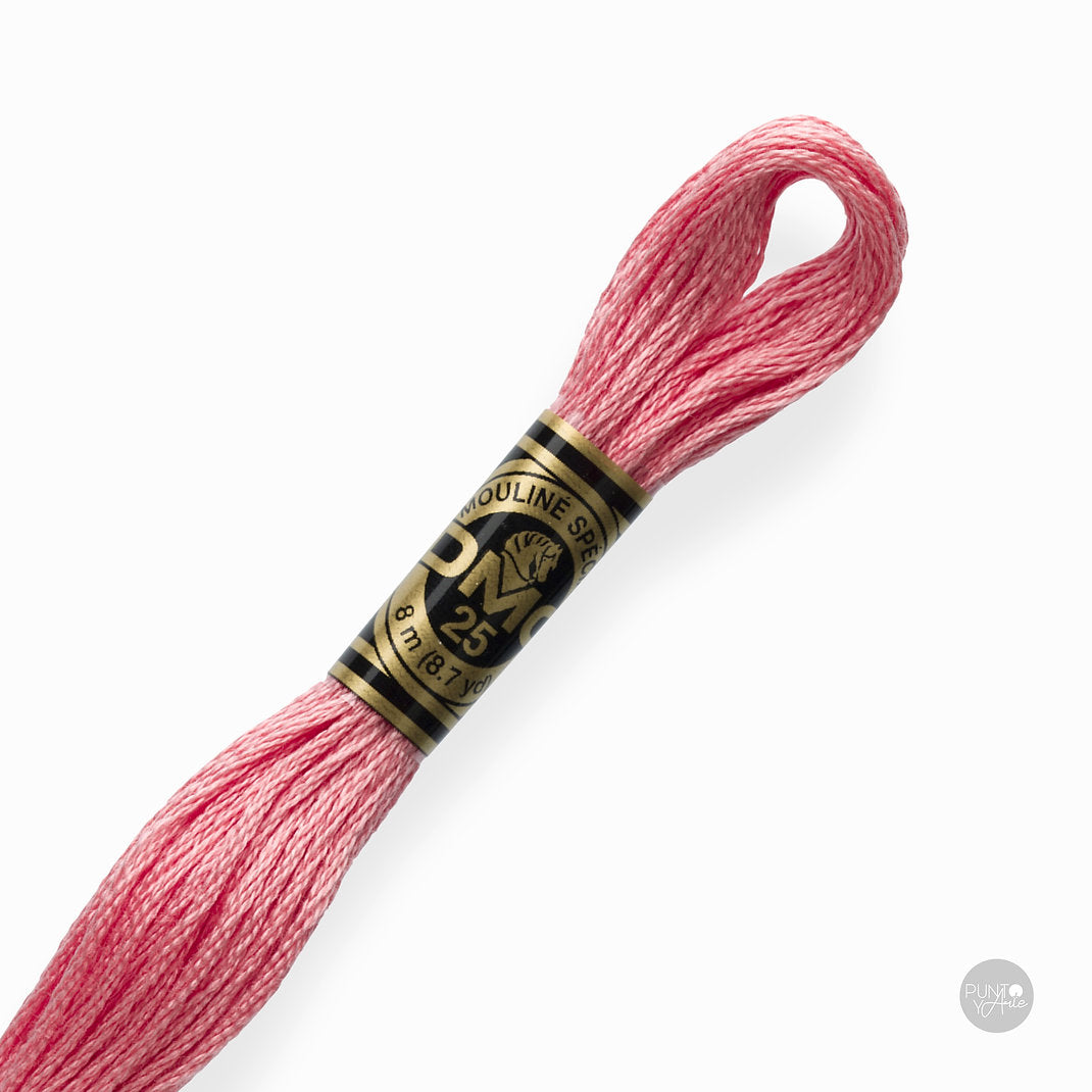 760 DMC Embroidery Thread Mouliné Spécial 117MC 8 meters