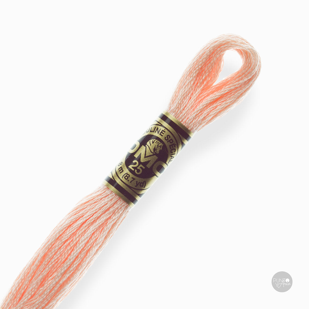 967 Fil à broder DMC Mouliné Spécial 117MC 8 mètres