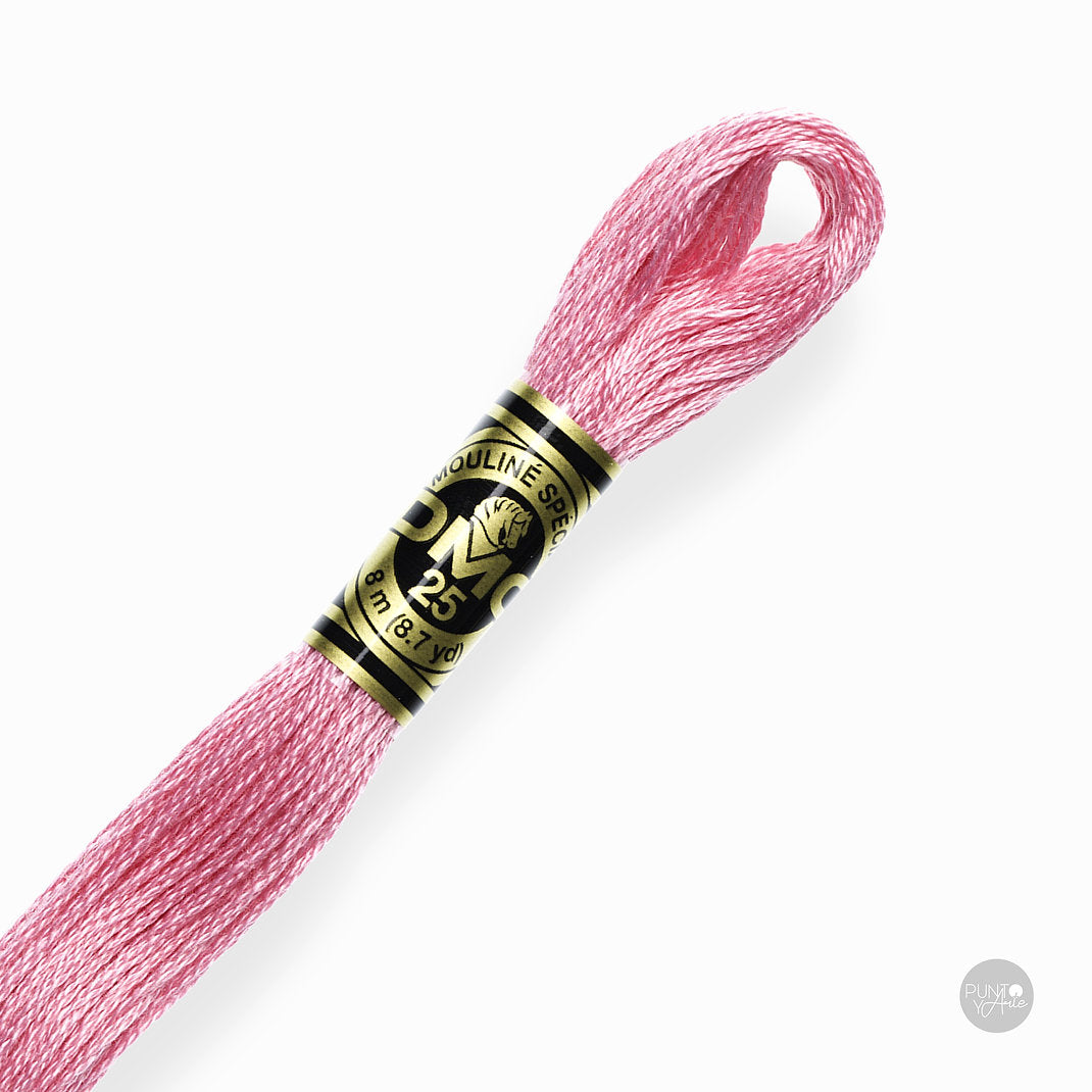 3806 DMC Embroidery Thread Mouliné Spécial 117MC 8 meters