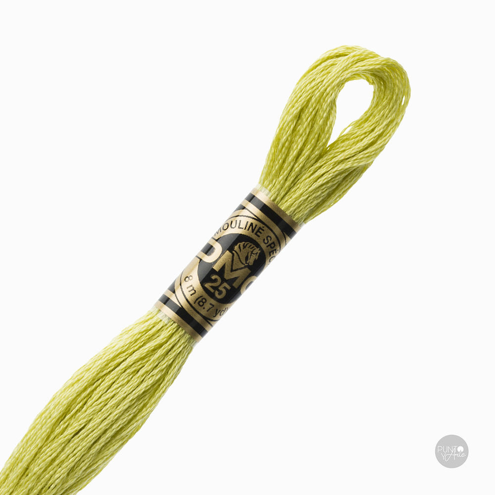 3819 Fil à broder DMC Mouliné Spécial 117MC 8 mètres