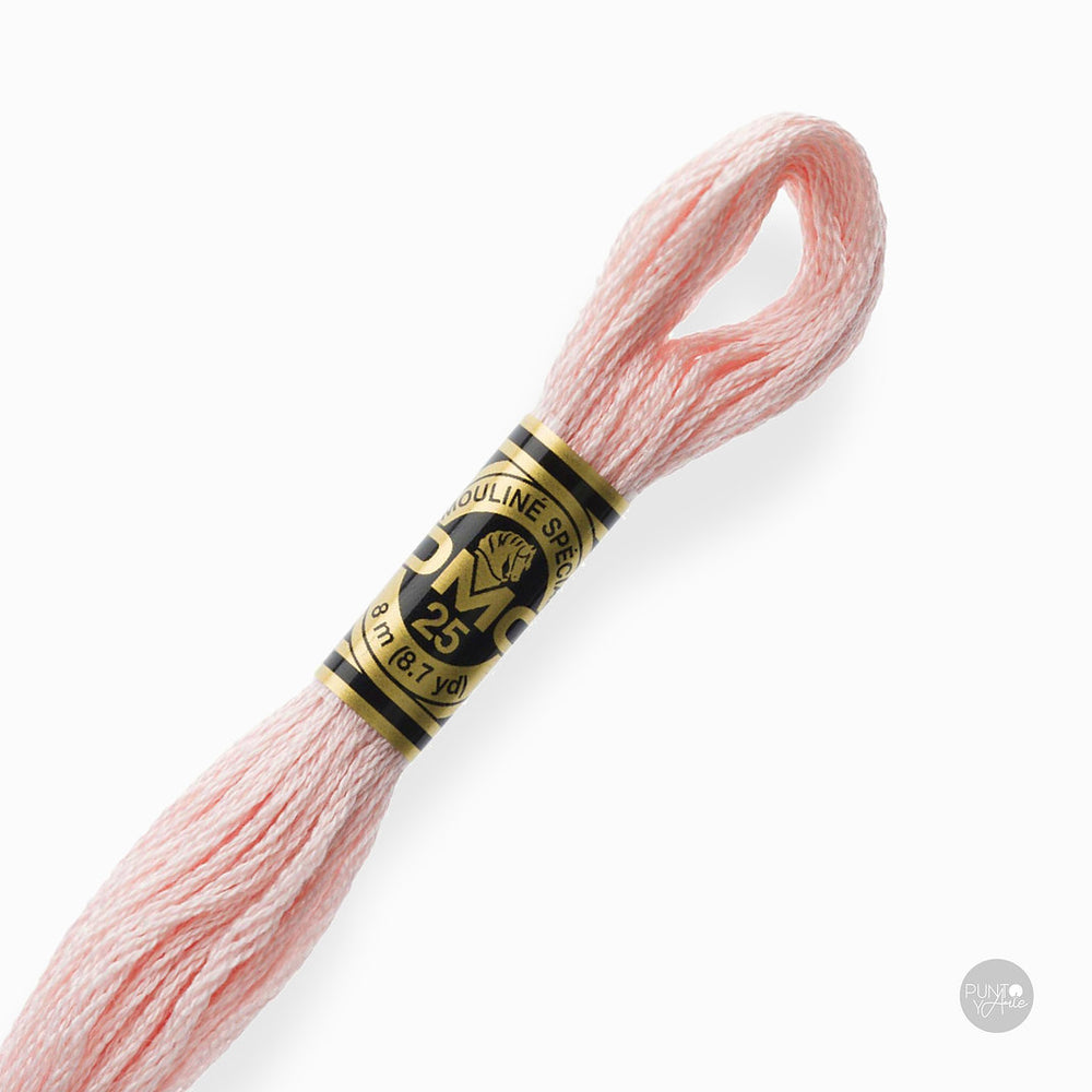 225 Hilo de bordado DMC Mouliné Spécial 117MC de 8 metros