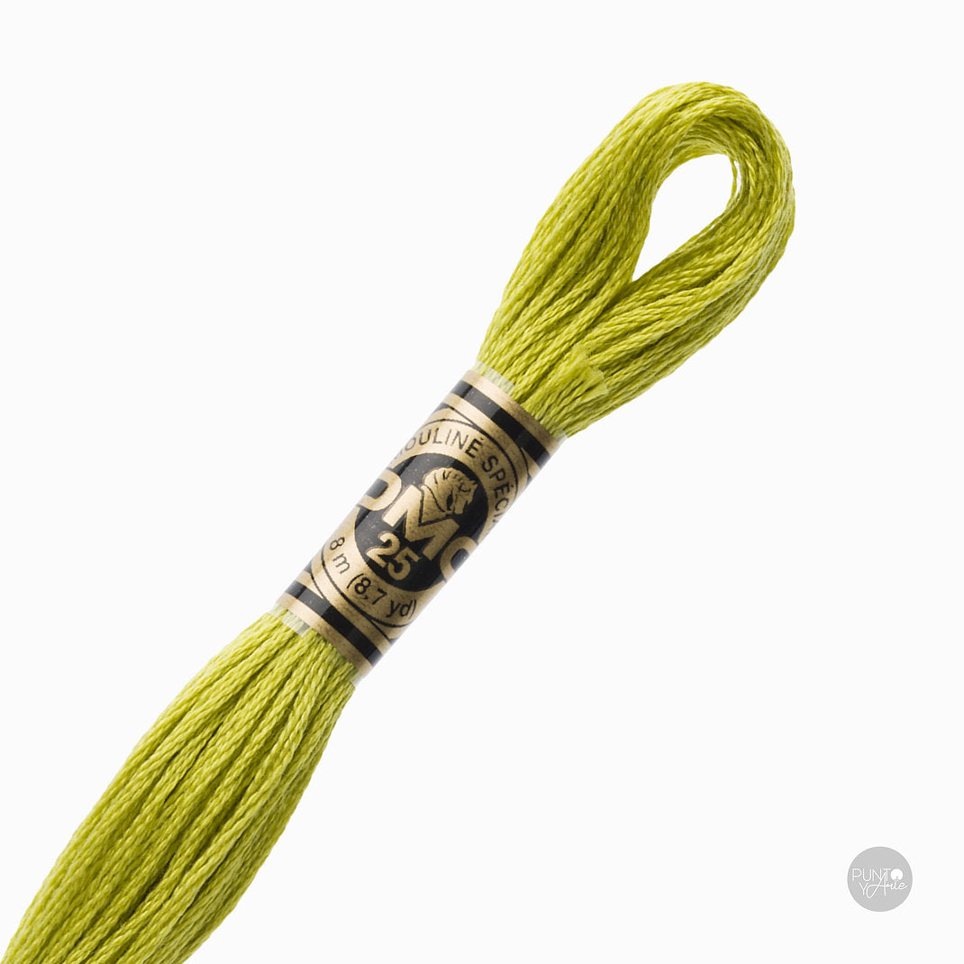 166 Fil à broder DMC Mouliné Spécial 117MC 8 mètres