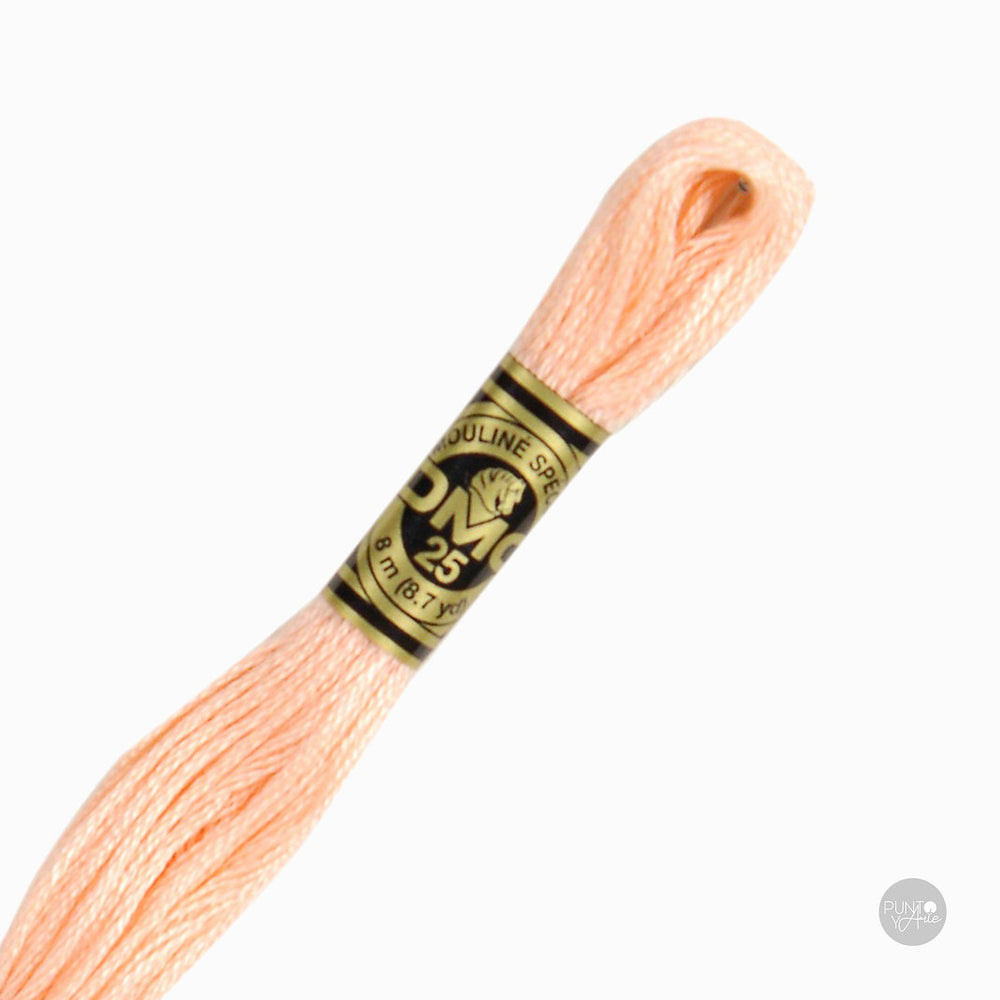 20 Hilo de bordado DMC Mouliné Spécial 117MC de 8 metros