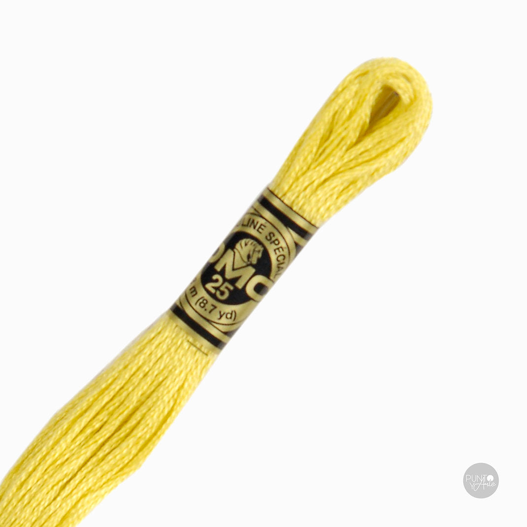 17 DMC Embroidery Thread Mouliné Spécial 117MC 8 meters