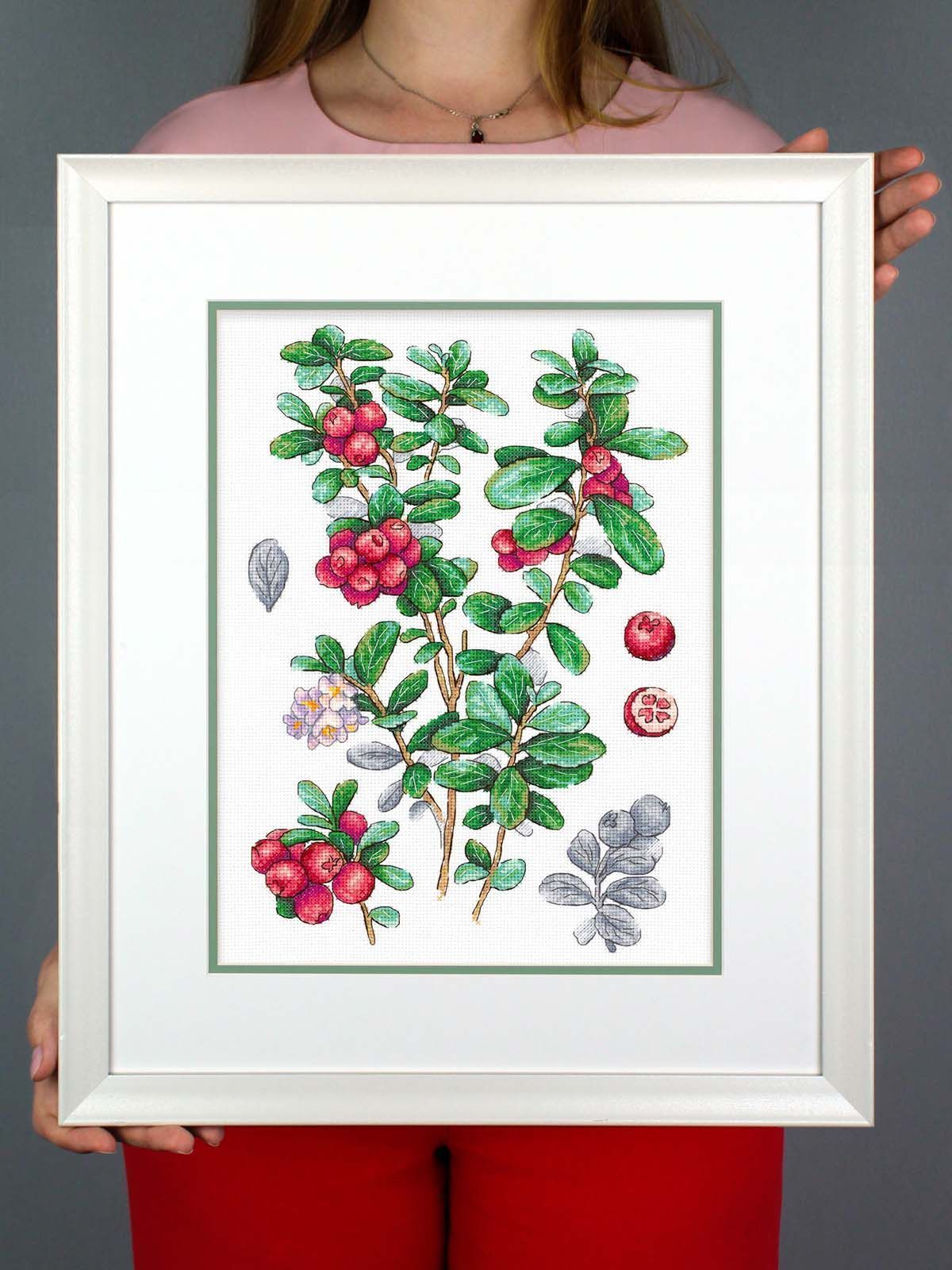 Cross Stitch Kit "Cowberry" MP Studia SNV-928 – Botanical Cranberries 29x20 cm Aida 16 ct