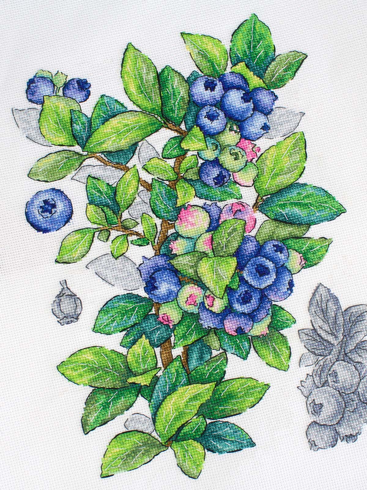 Cross Stitch Kit "Blueberry" MP Studia SNV-929 - Botanical Blueberries 28x20 cm Aida 16 ct