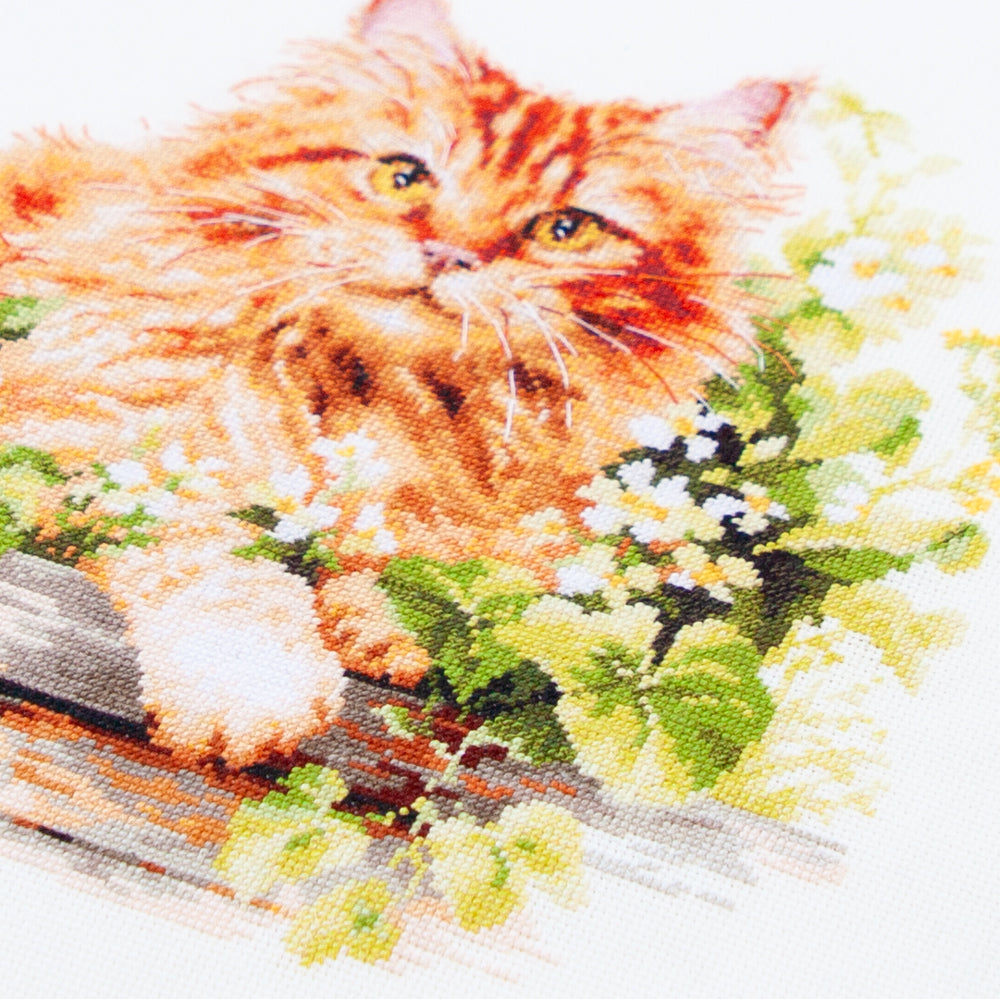 Cross Stitch Kit 70-22 “The Ginger Cat” – Magic Needle
