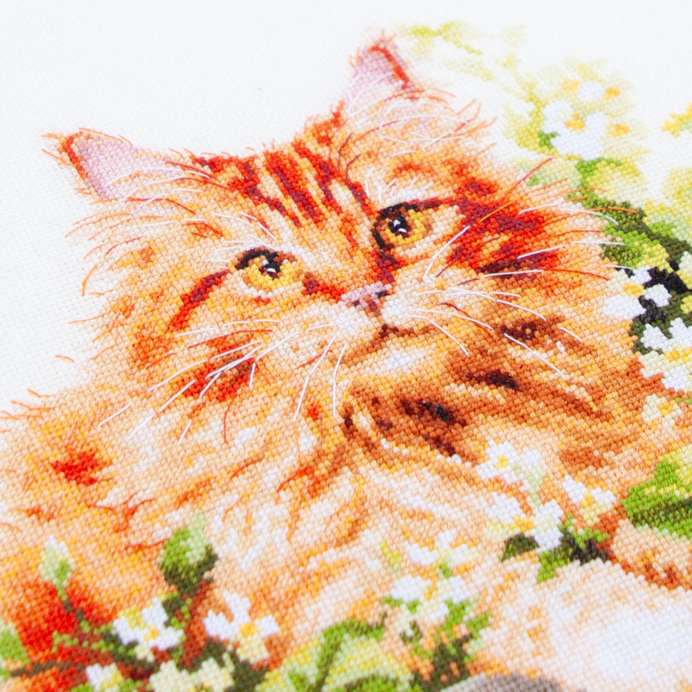 Cross Stitch Kit 70-22 “The Ginger Cat” – Magic Needle