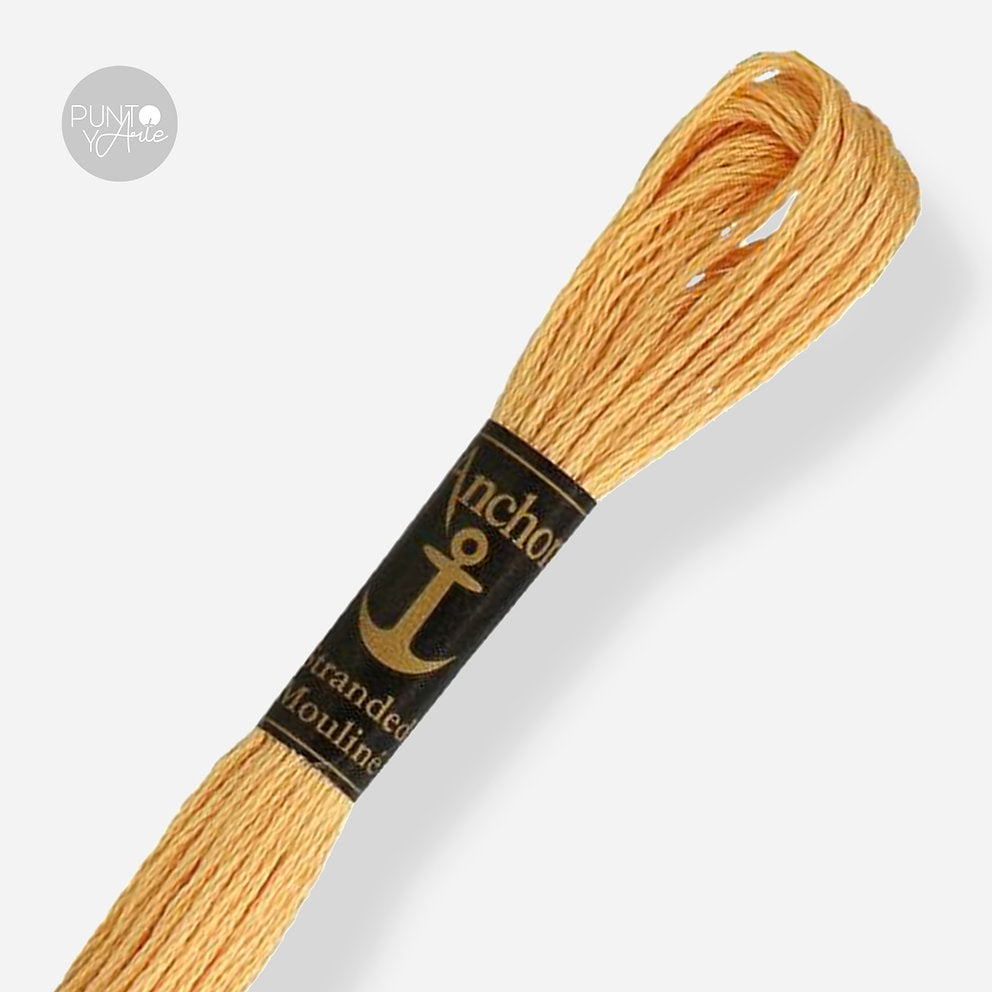 0891 Anchor Stranded Mouliné : Qualité et couleur pour votre broderie