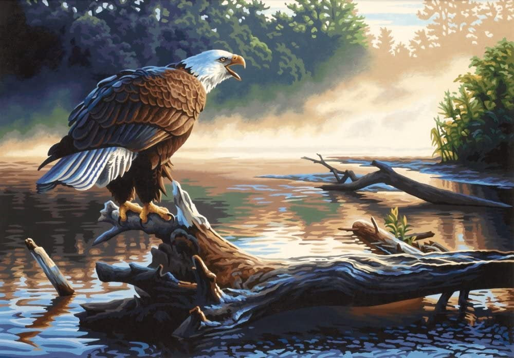 Aigle - 91379 Dimensions - Kit de peinture par numéros