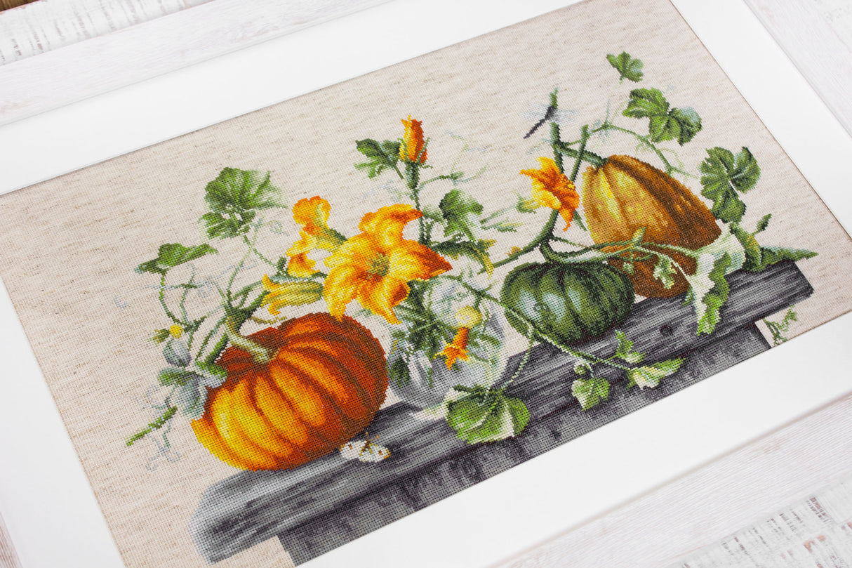 Kit de point de croix Luca-S « Pumpkin Splendor » - B2303