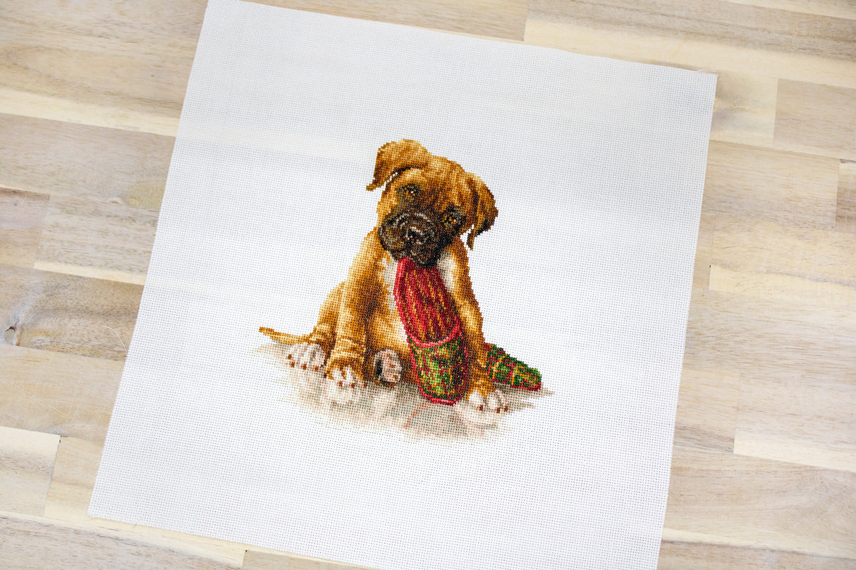 B2338 The boxer - Luca-S - Cross Stitch Kit