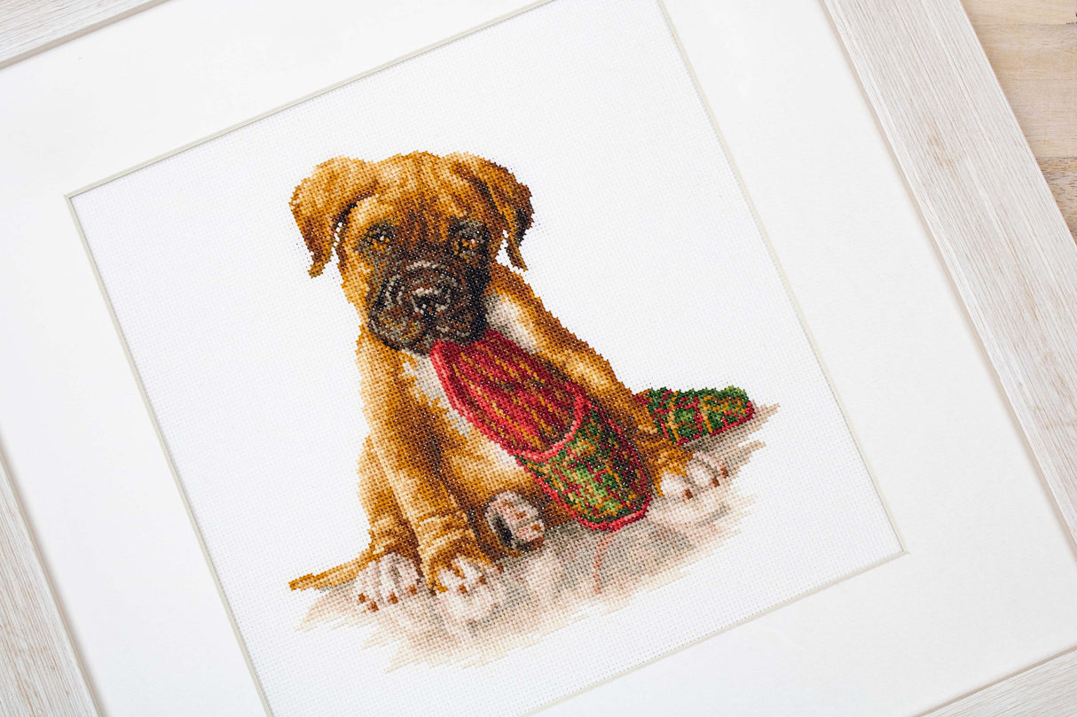 B2338 The boxer - Luca-S - Cross Stitch Kit