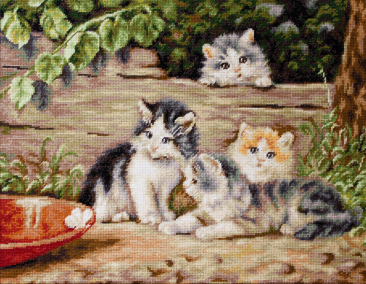 Chatons - B556 Luca-S - Kit de point de croix