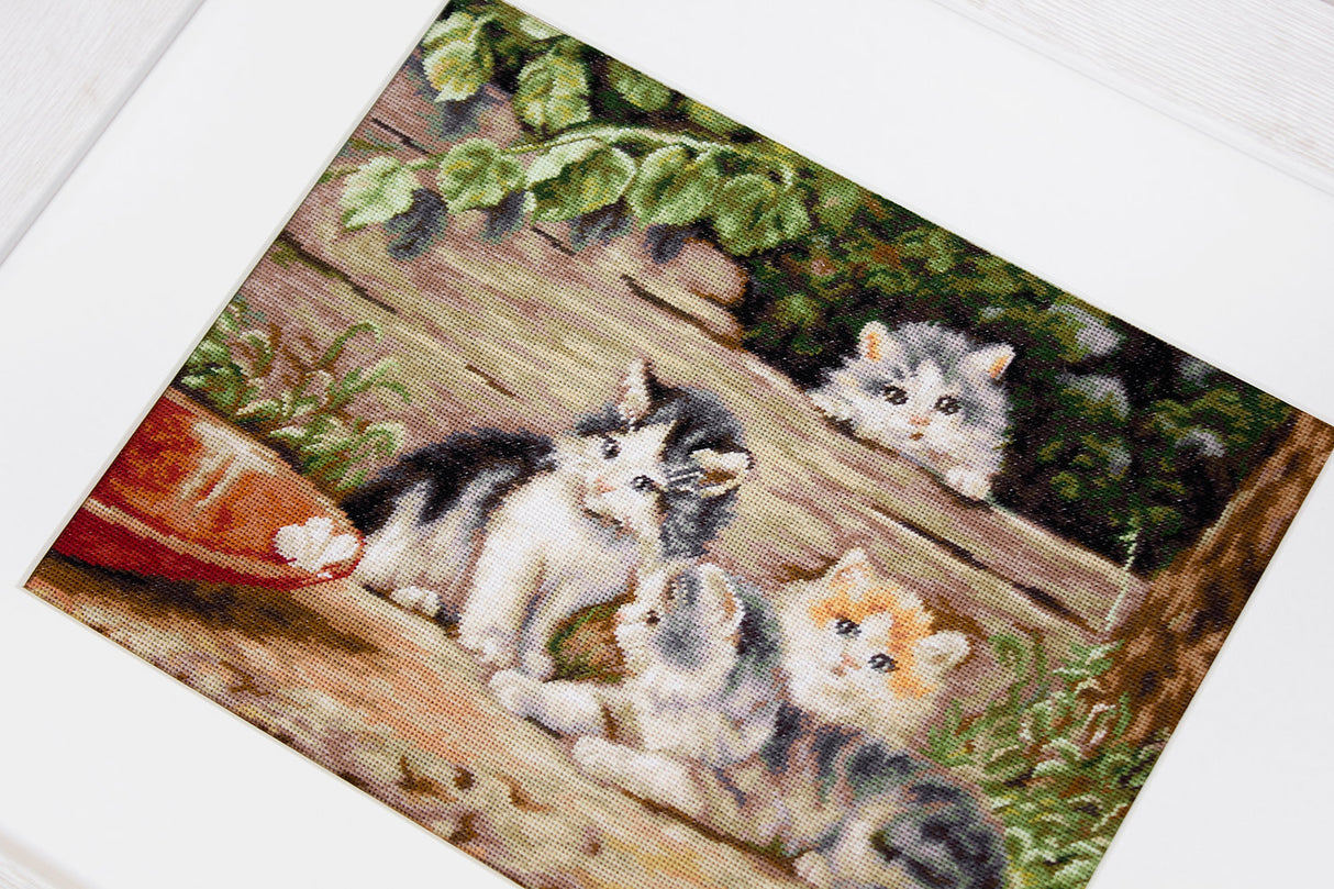 Chatons - B556 Luca-S - Kit de point de croix