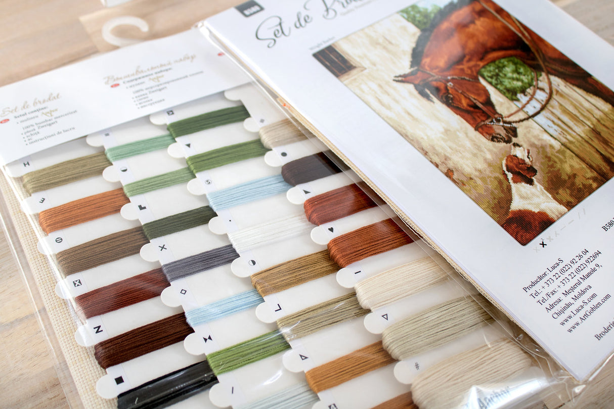 Chasseur et Foxhound - B580 Luca-S - Kit de point de croix