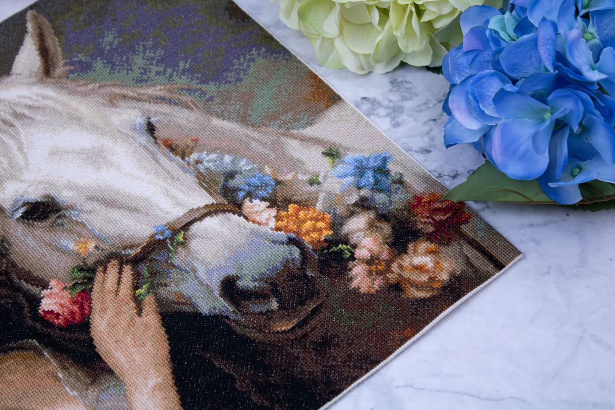 Caballo bordado del kits de punto de cruz B620 luca-s