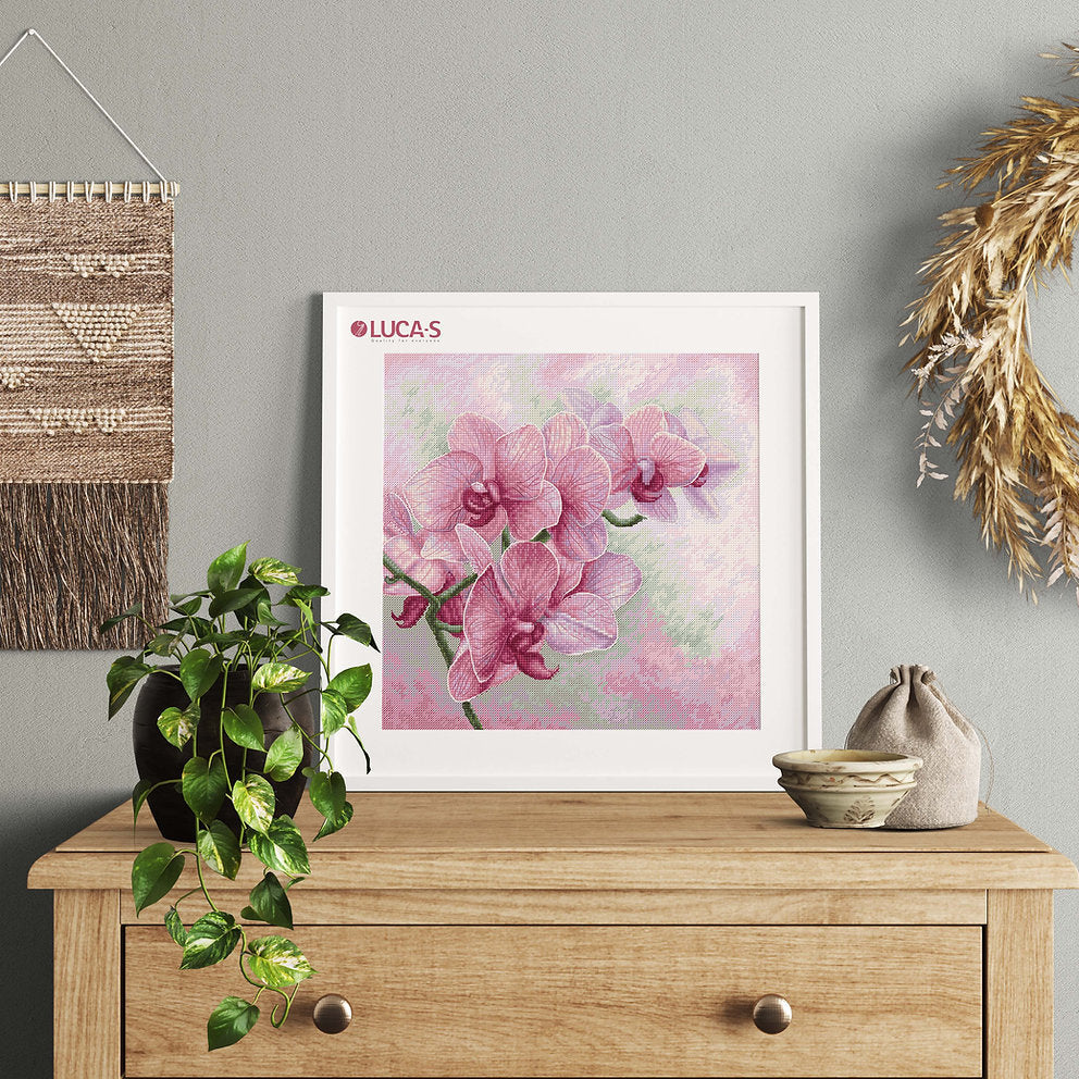 Elegant orchids - B7009 Luca-S - Cross Stitch Kit