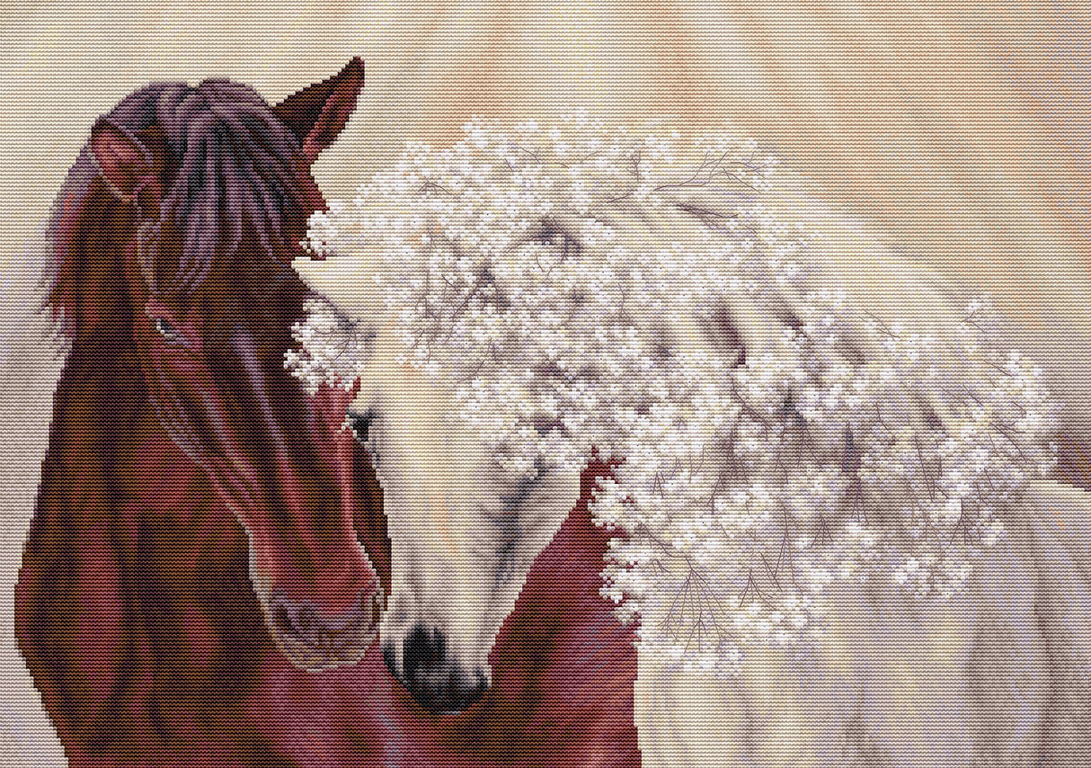 Cross Stitch Kit "The Perfect Couple. Horses" - BU5010 Luca-S