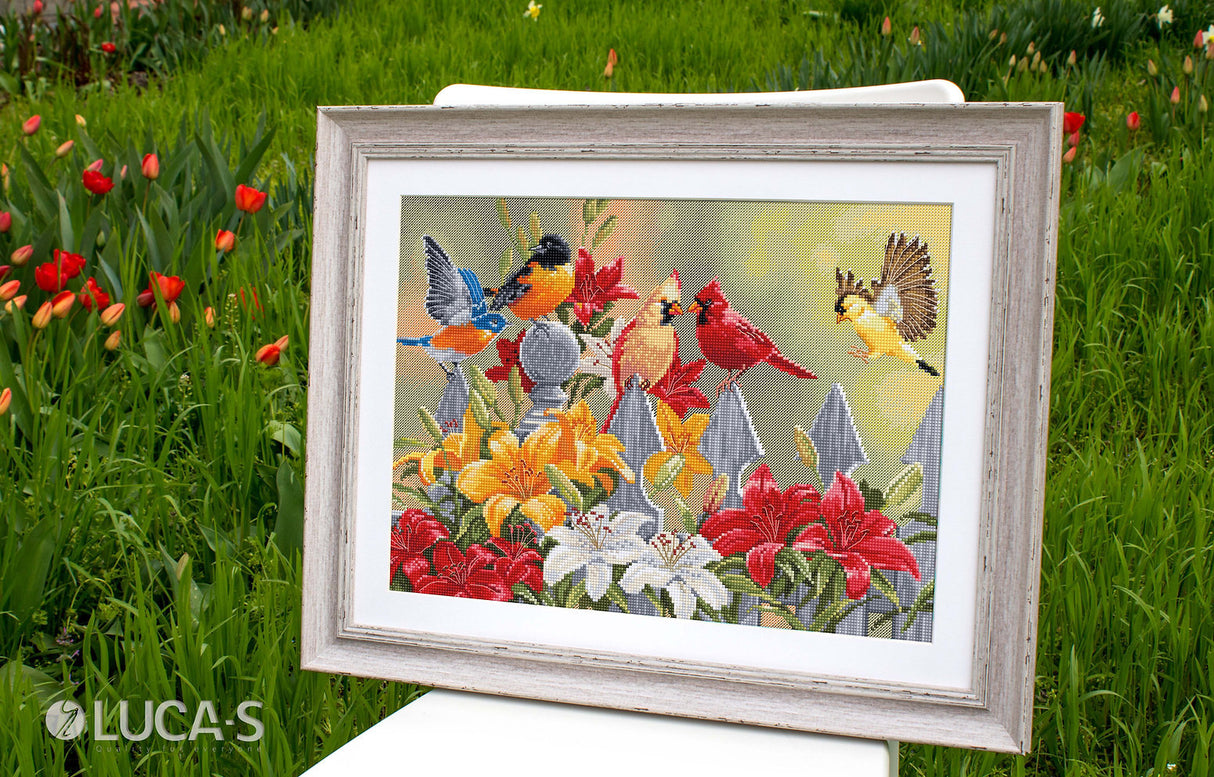 Cross Stitch Kit - Backyard Birds with Daylilies - BU5024 Luca-S