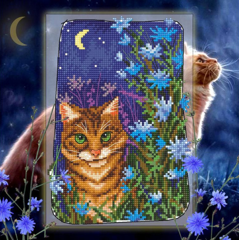 Chat dans la nuit - RTO C352 - Kit de point de croix