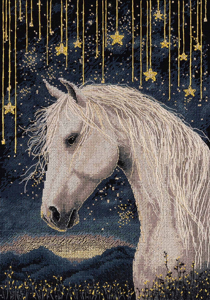Kit de punto de cruz PANNA Bajo el cielo estrellado PJ-7537 con caballo blanco sobre fondo negro y estrellas doradas