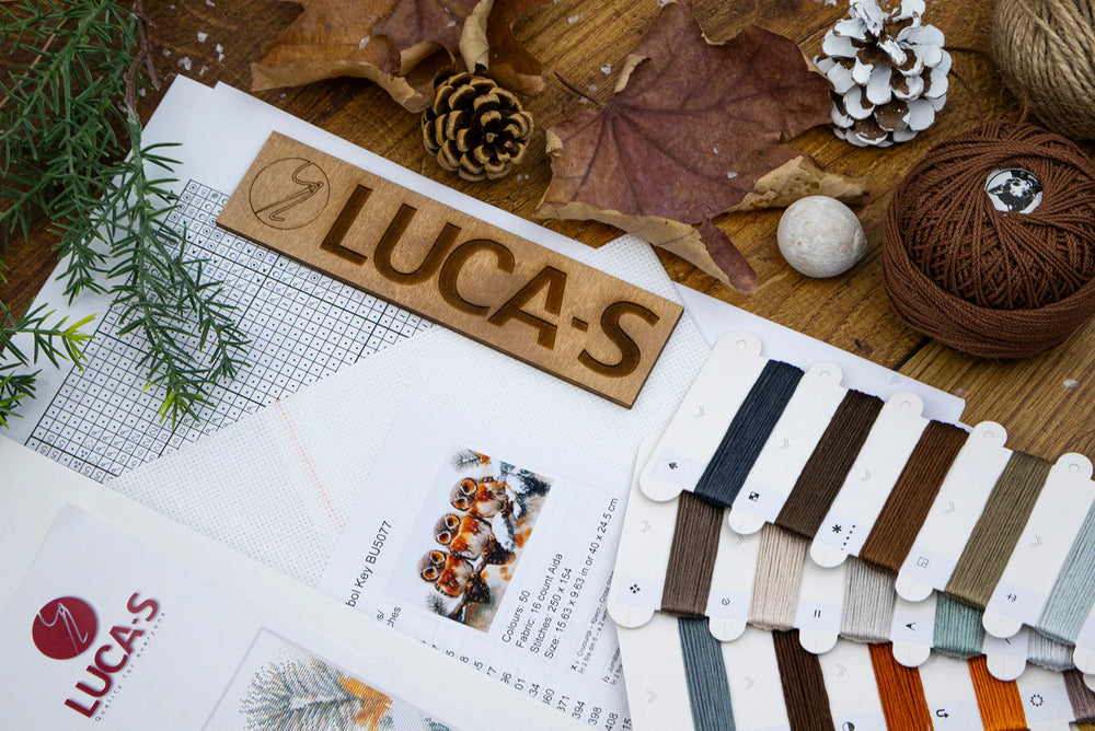Kit de point de croix Luca-S - « Hiboux dans le silence de l'hiver » (BU5077)