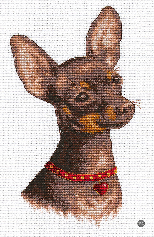 Toy Terrier - Panna - Kit de point de croix J-1485