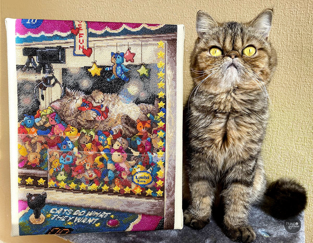 Cross stitch kit "Cats Do What They Want" - K-196 by Merejka