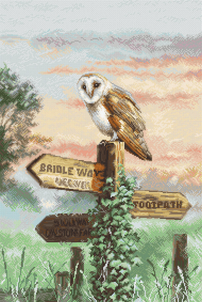 Cross Stitch Kit 'Twilight Watcher' L8031 - Majestic Owl in Rural Landscape by LETISTITCH