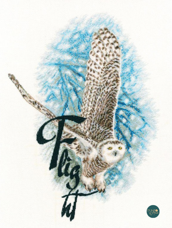 Vol - M816 RTO - Kit de point de croix