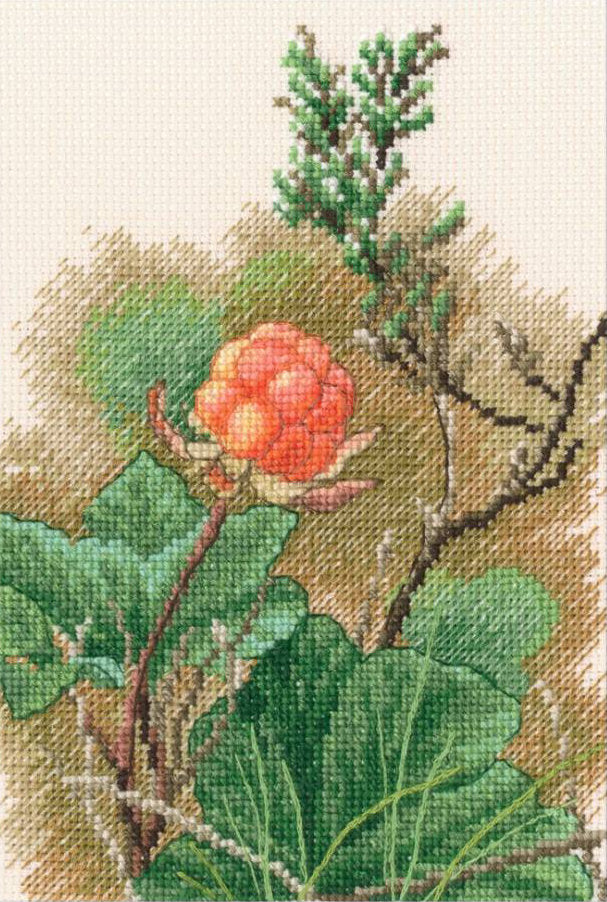 Kit point de croix "Dans l'instant" - RTO M961