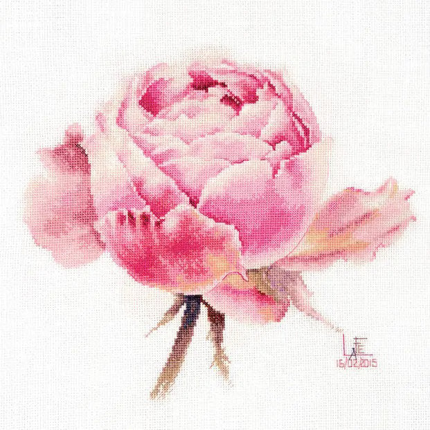Rosa Exquisito - S2-53 Alisa - Kit de punto de cruz