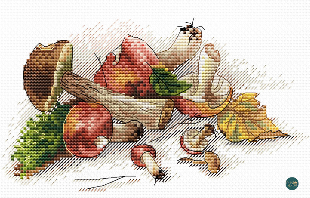 ETUDE FOREST - MP Studia SM-125 - Kit de point de croix