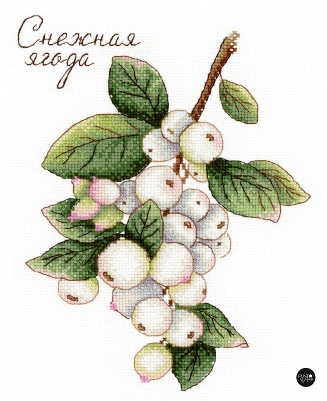 Baies - MP Studia SNV-662 - Kit de point de croix