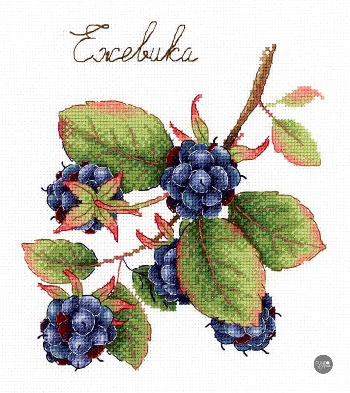 Cadeaux de la nature. Mora - SNV-696 MP Studia - Kit de point de croix